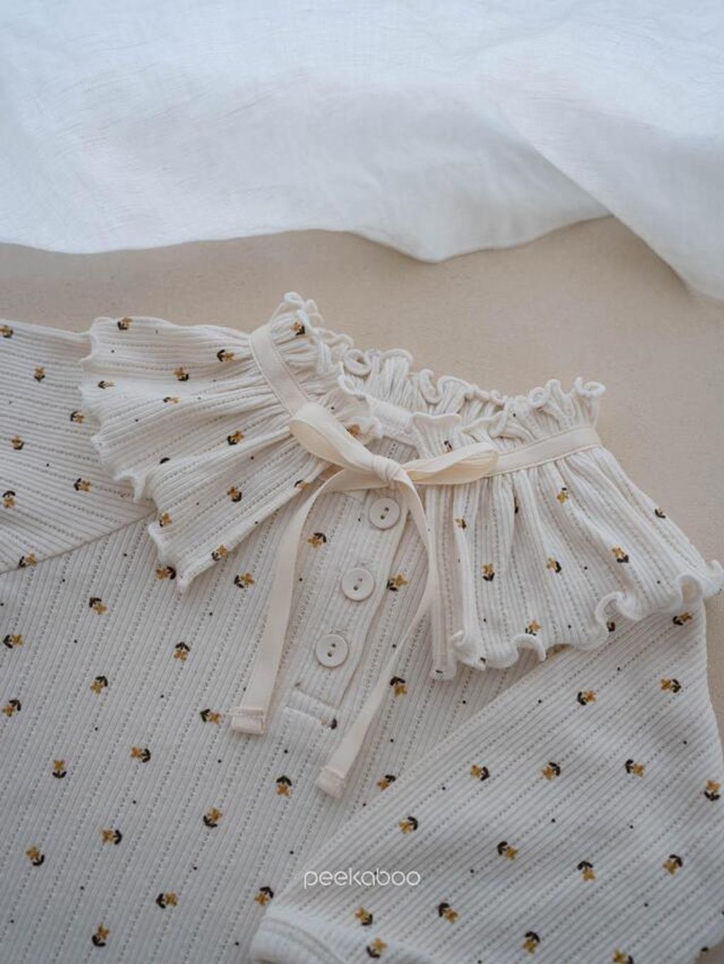 IMG_2491-1725527192205