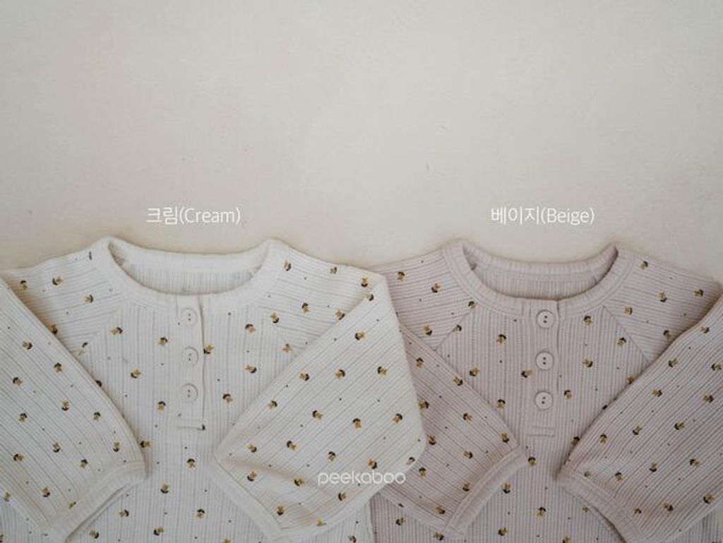 IMG_2506-1725527249400