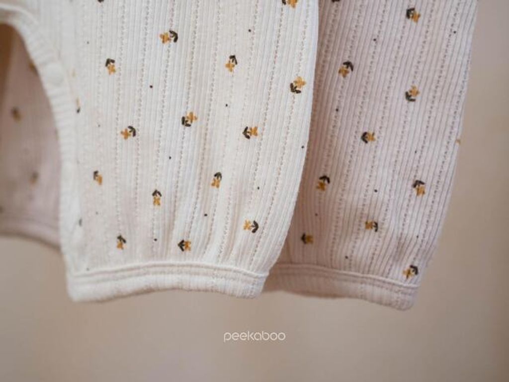 IMG_2508-1725527249414