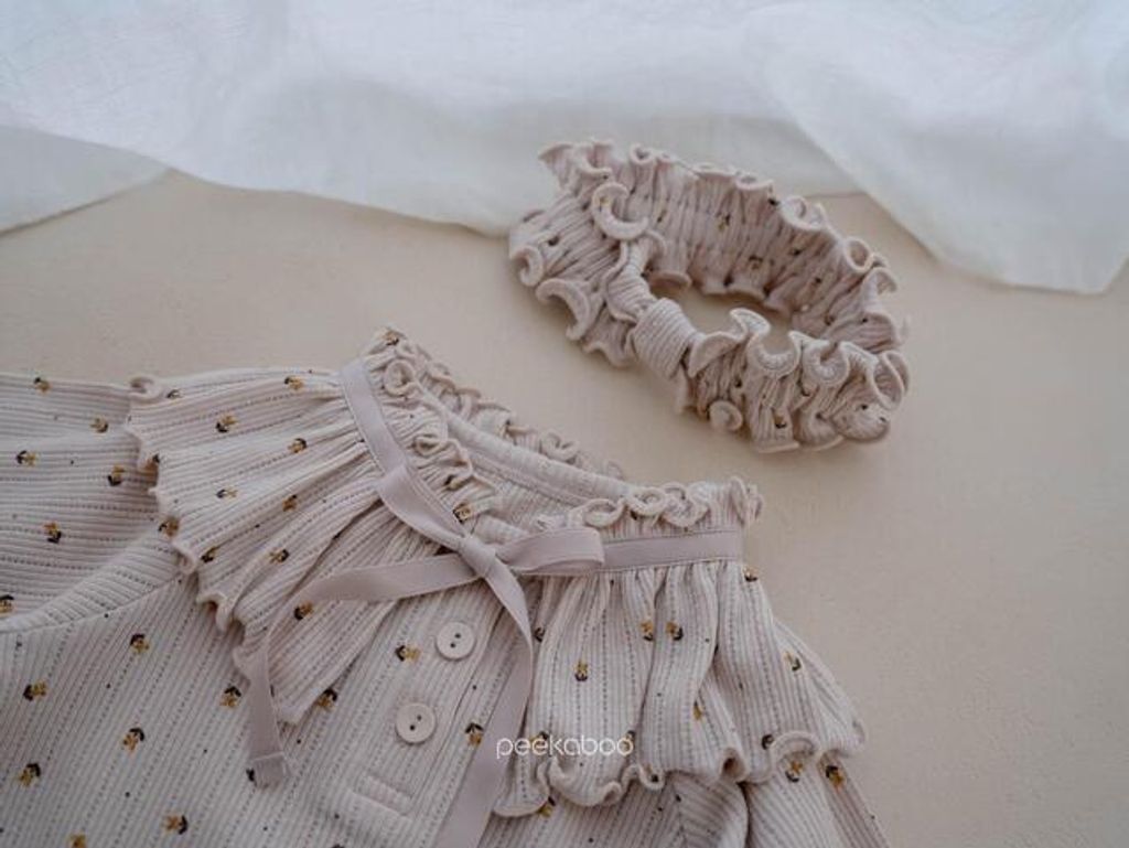 IMG_2511-1725527249438