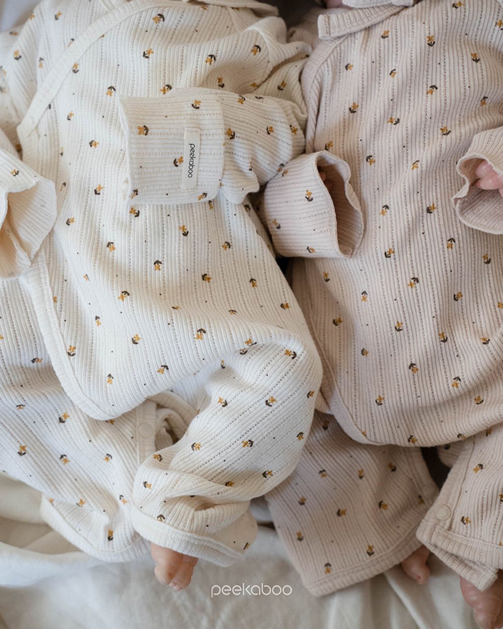 IMG_2518-1725527307315