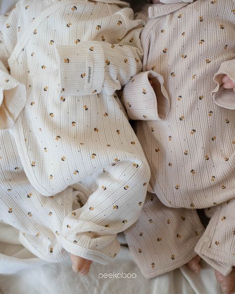 IMG_2518-1725527307315