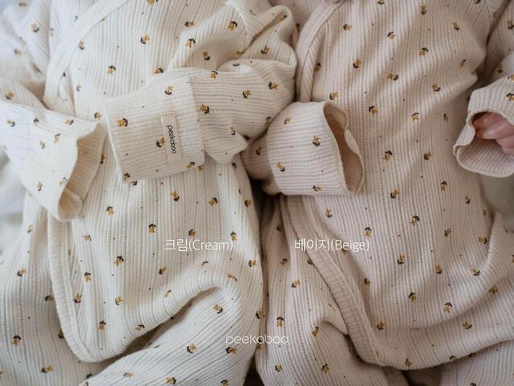 IMG_2520-1725527307322