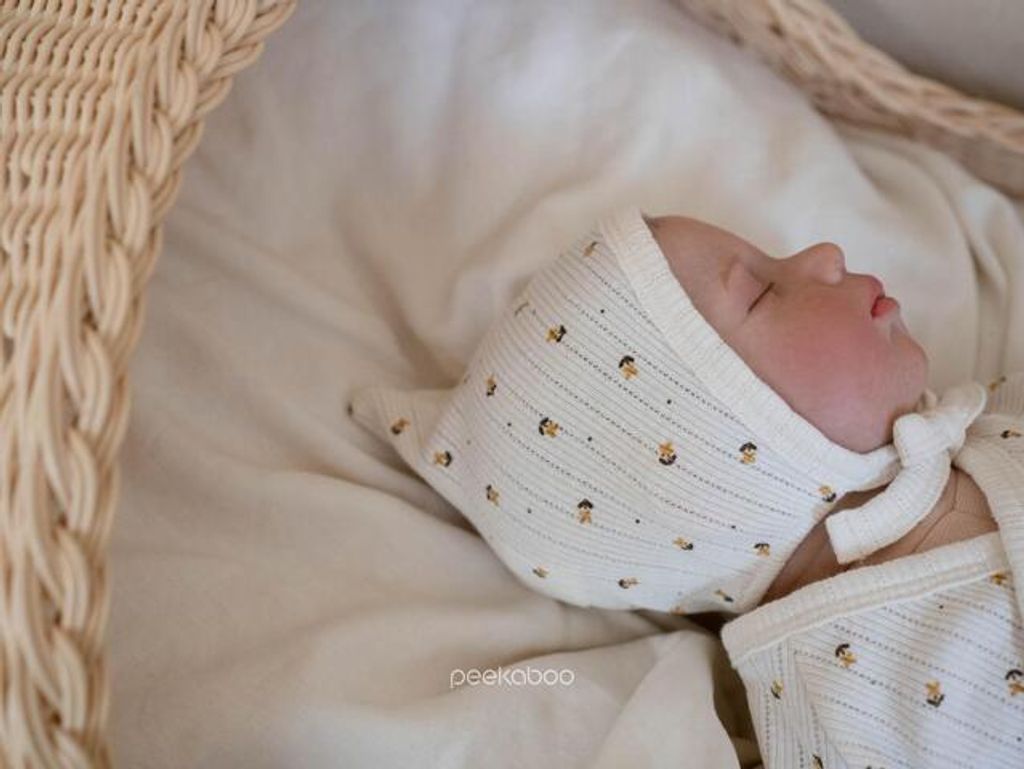 IMG_2521-1725527307330