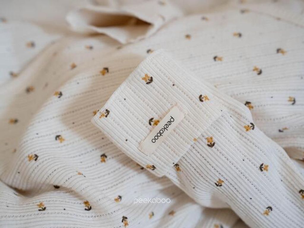 IMG_2524-1725527307338