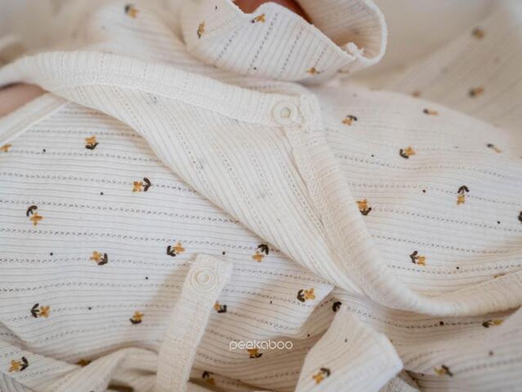 IMG_2523-1725527307345