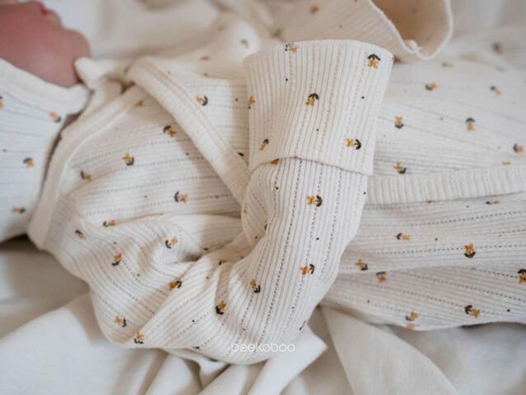 IMG_2522-1725527307354