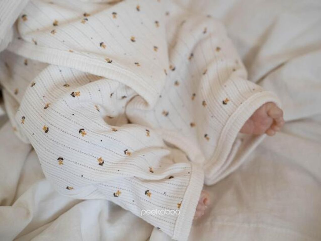 IMG_2525-1725527307361