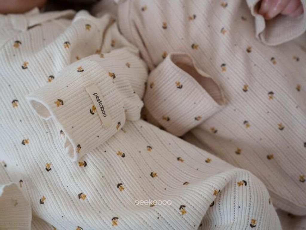 IMG_2526-1725527307368