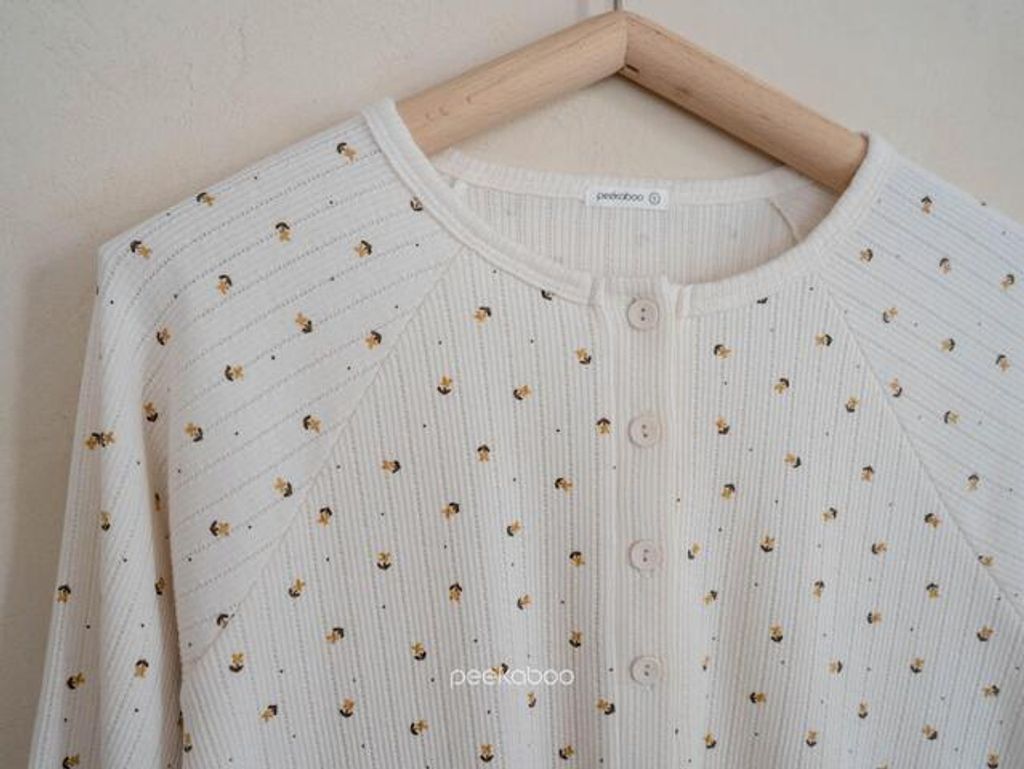 IMG_2534-1725527368968