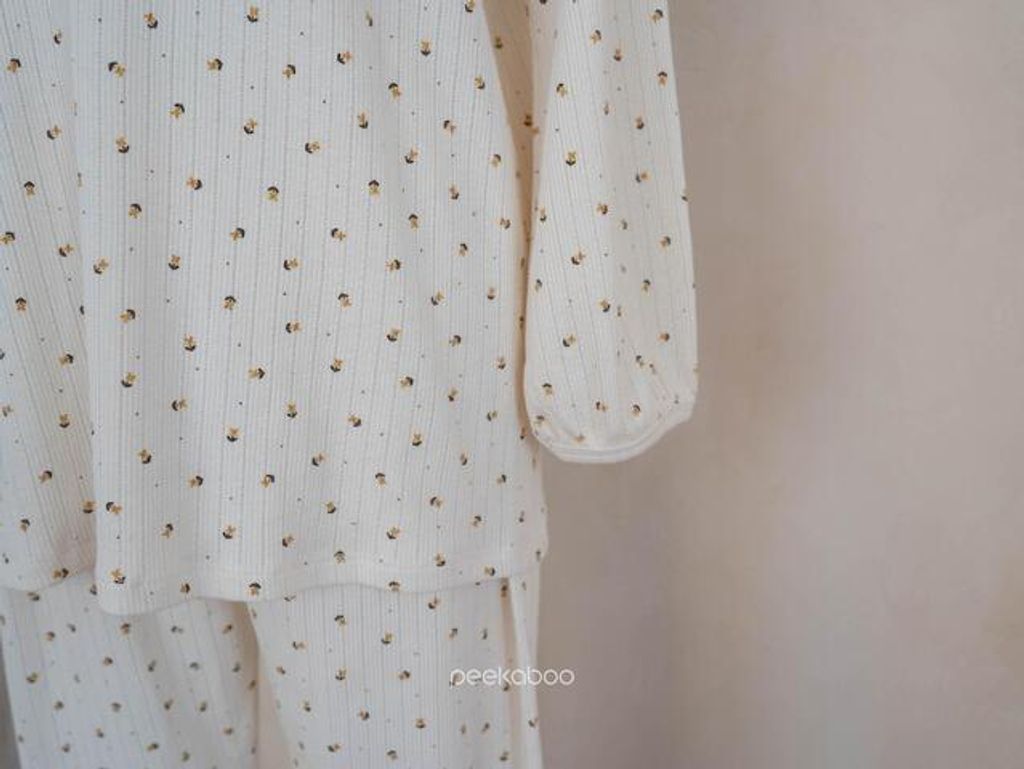 IMG_2538-1725527368976