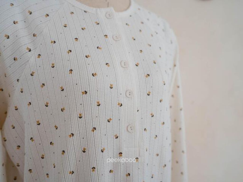 IMG_2537-1725527368983