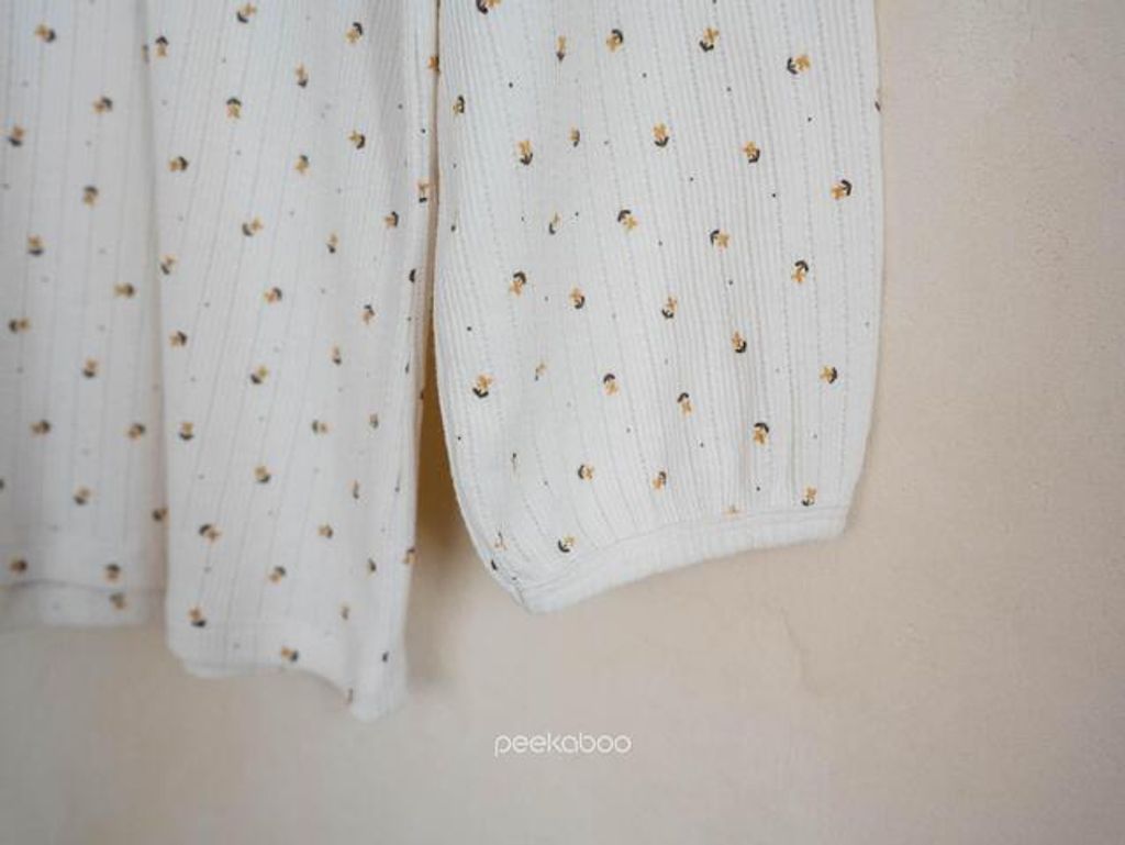 IMG_2535-1725527368998