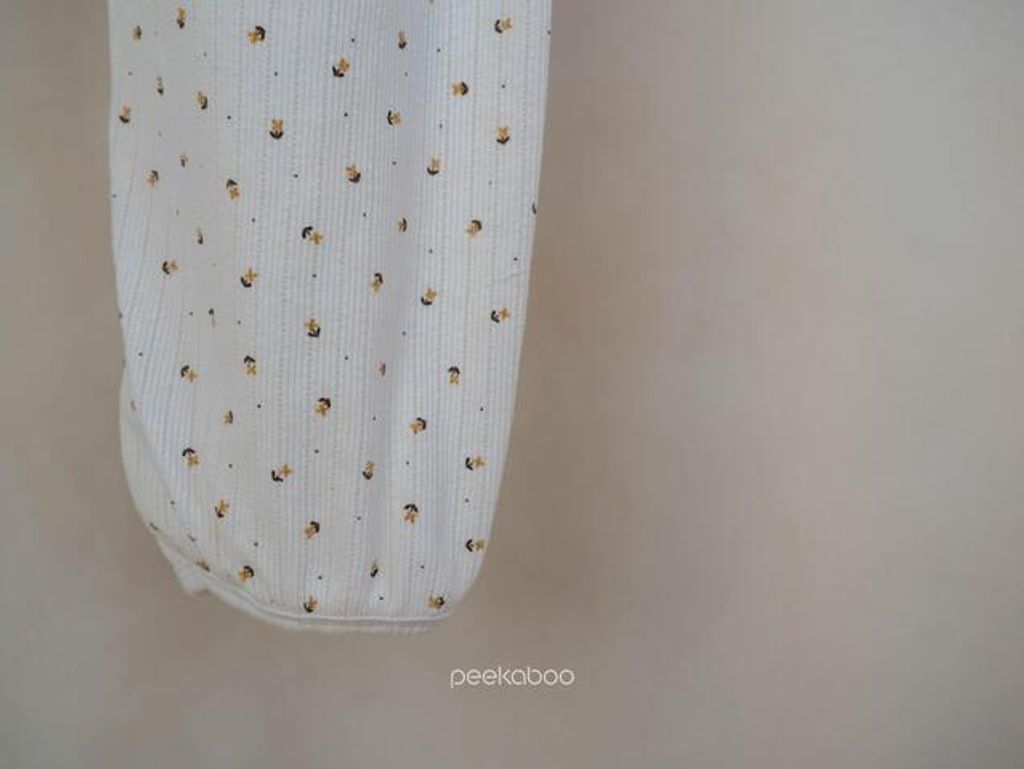 IMG_2539-1725527369006