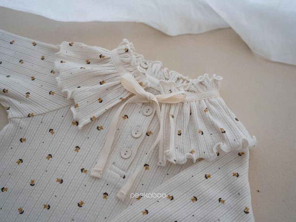 IMG_2557-1725527429949