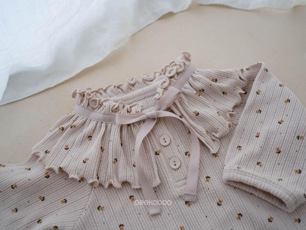 IMG_2558-1725527429956