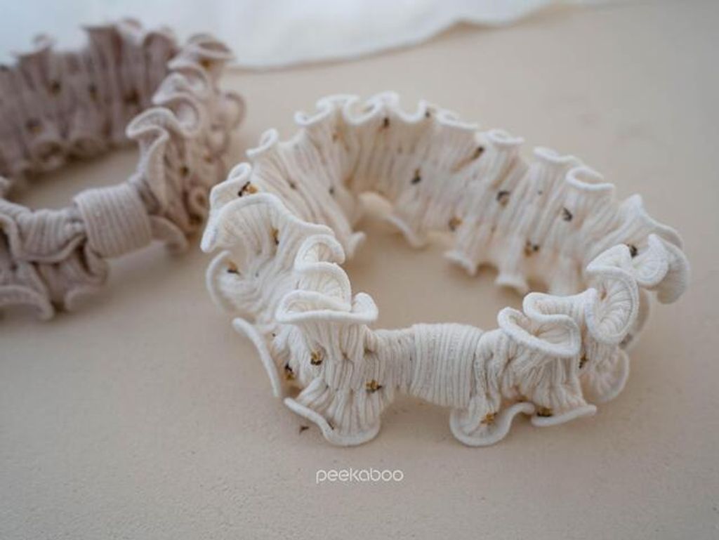 IMG_2567-1725527483185