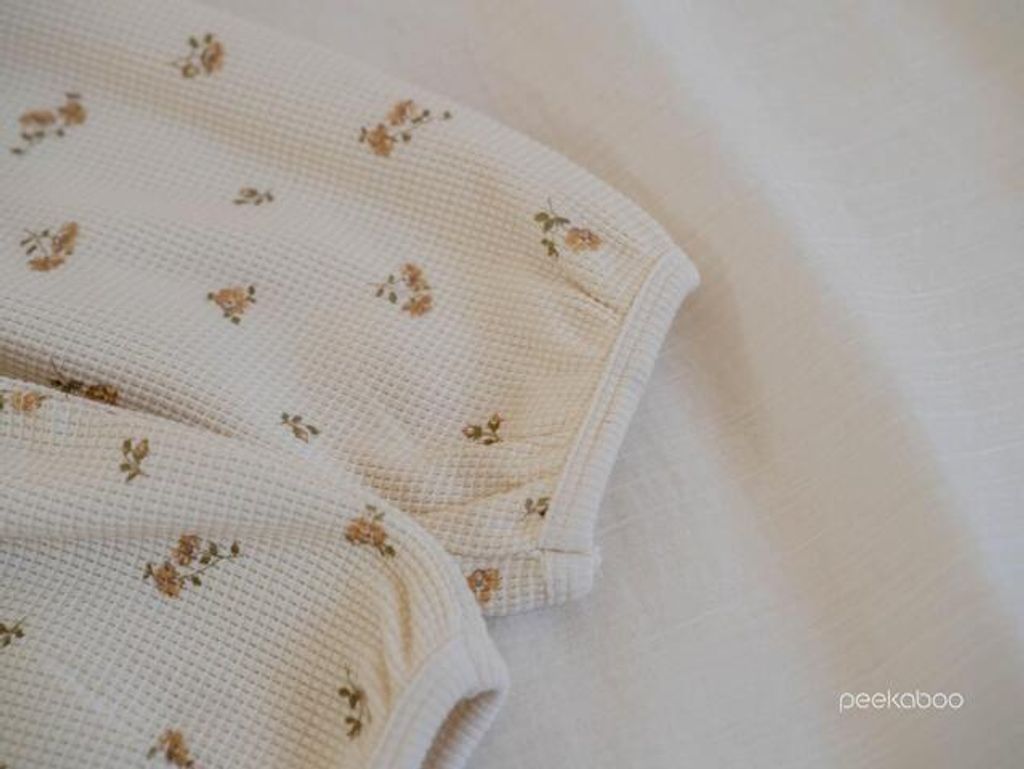 IMG_0438-1728359131817