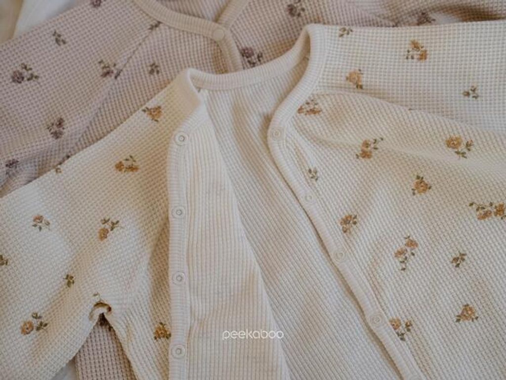 IMG_0436-1728359131830