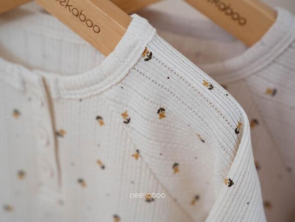 IMG_0450-1728359406788