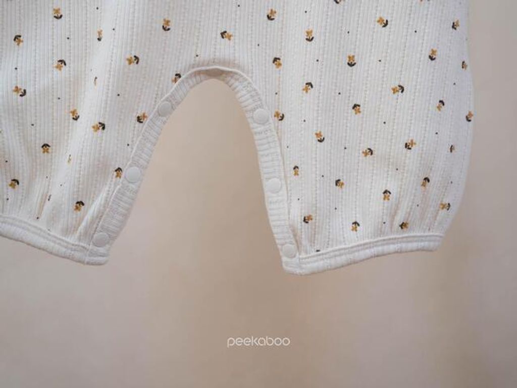 IMG_0452-1728359406803