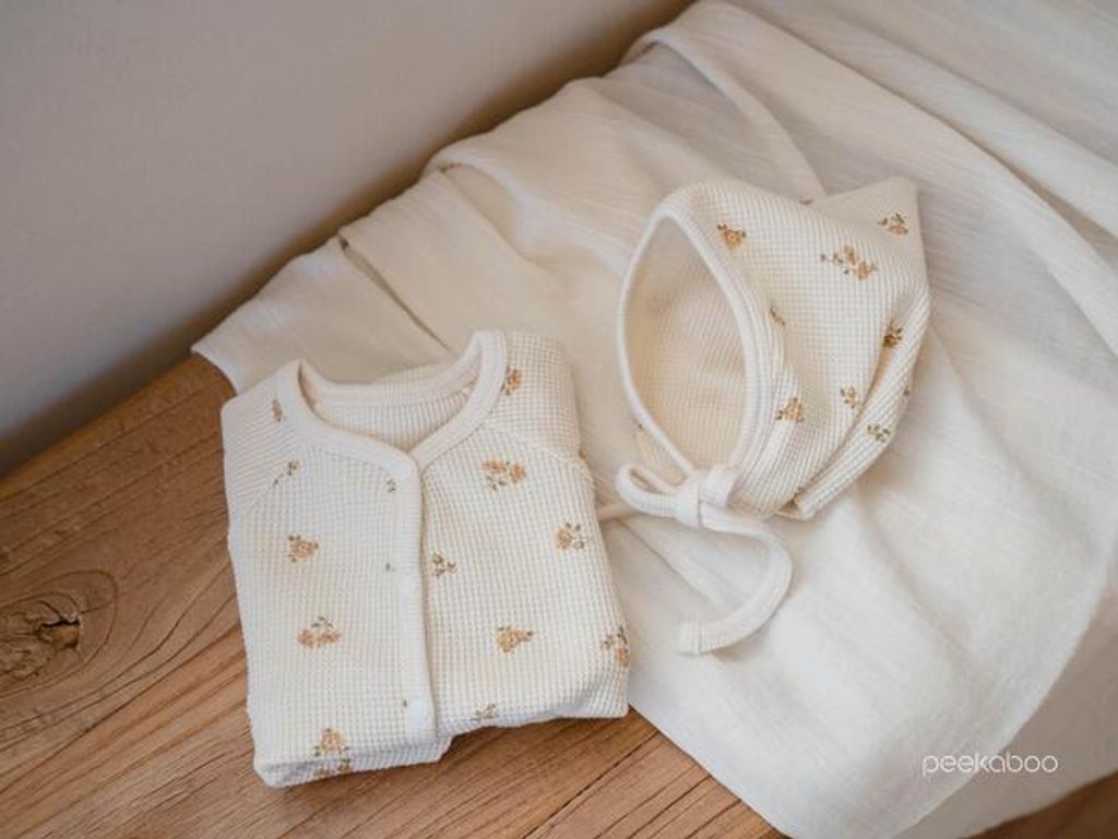 IMG_0468-1728359541885