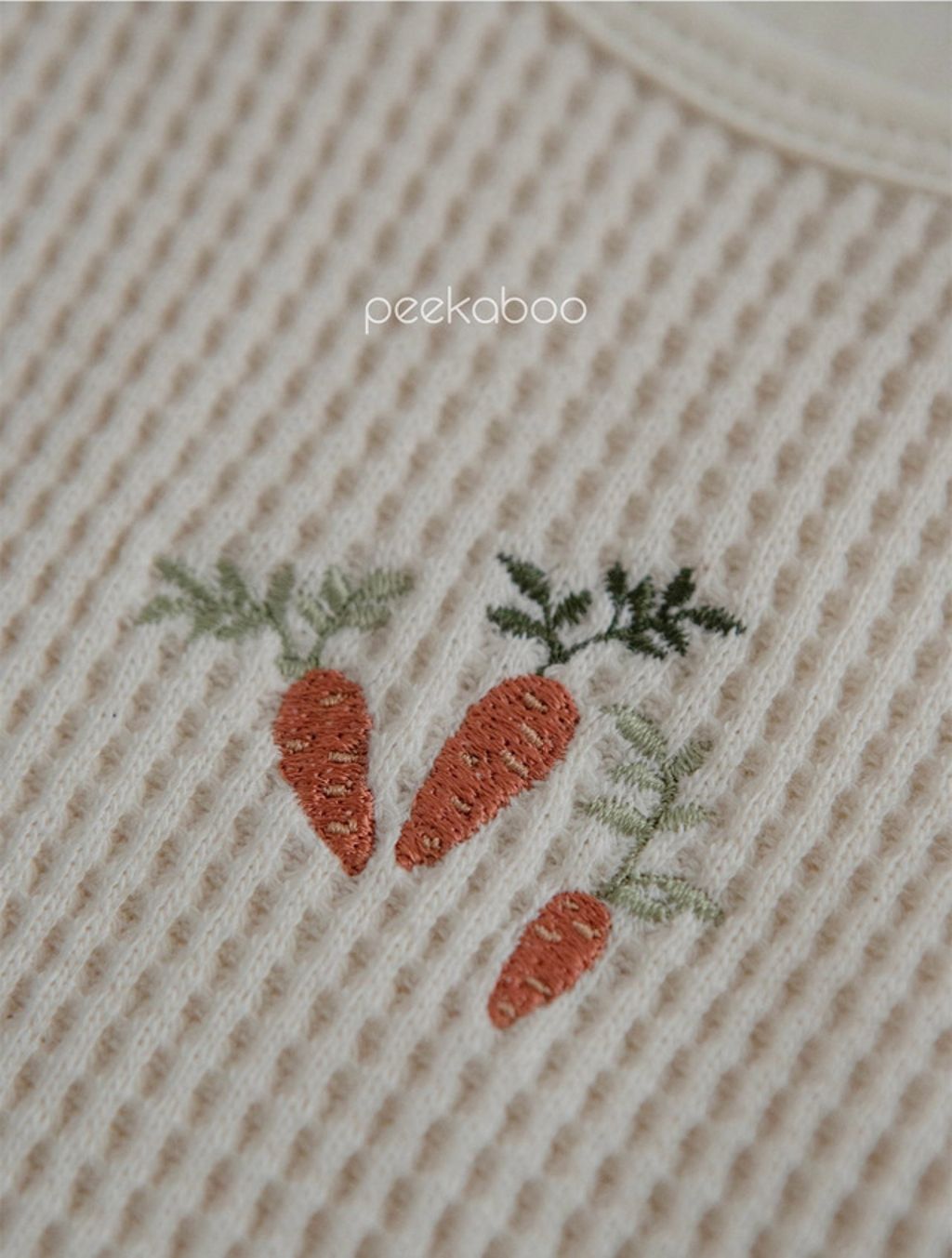 IMG_0884-1728378137444