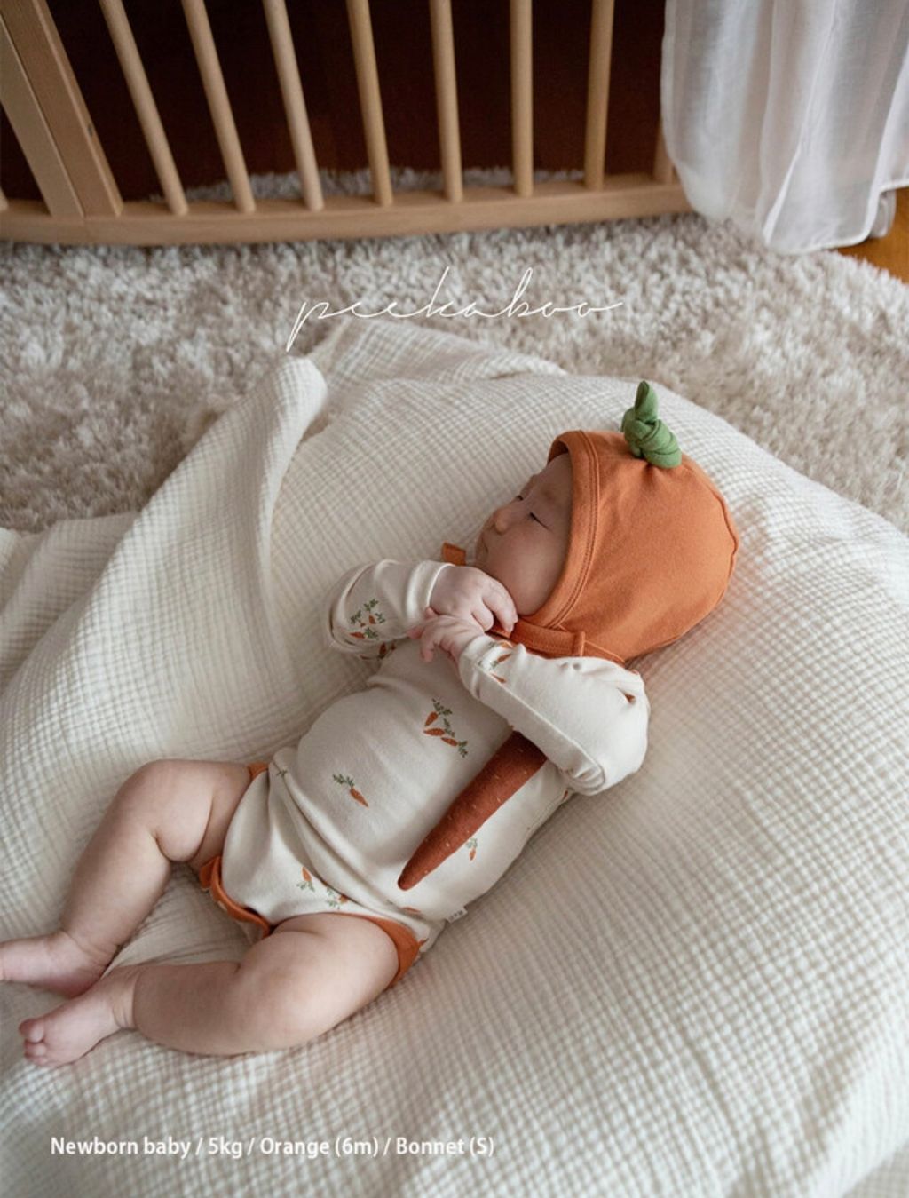 IMG_0942-1728378837154