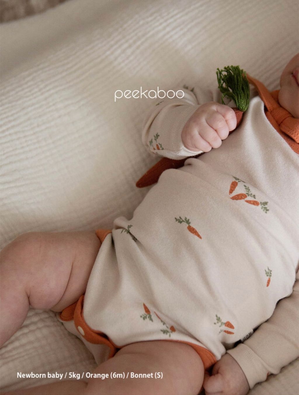 IMG_0944-1728378837170