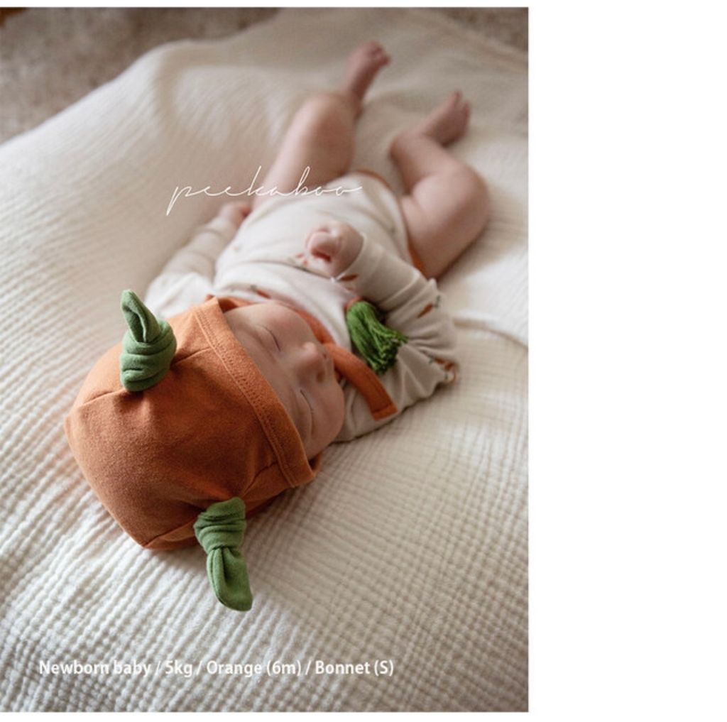 IMG_0970-1728379178953