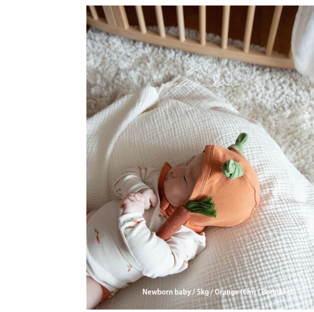 IMG_0969-1728379178961