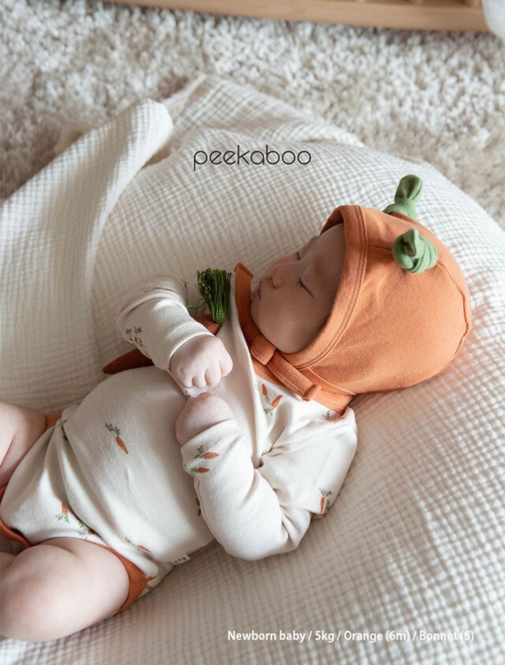 IMG_0968-1728379178969