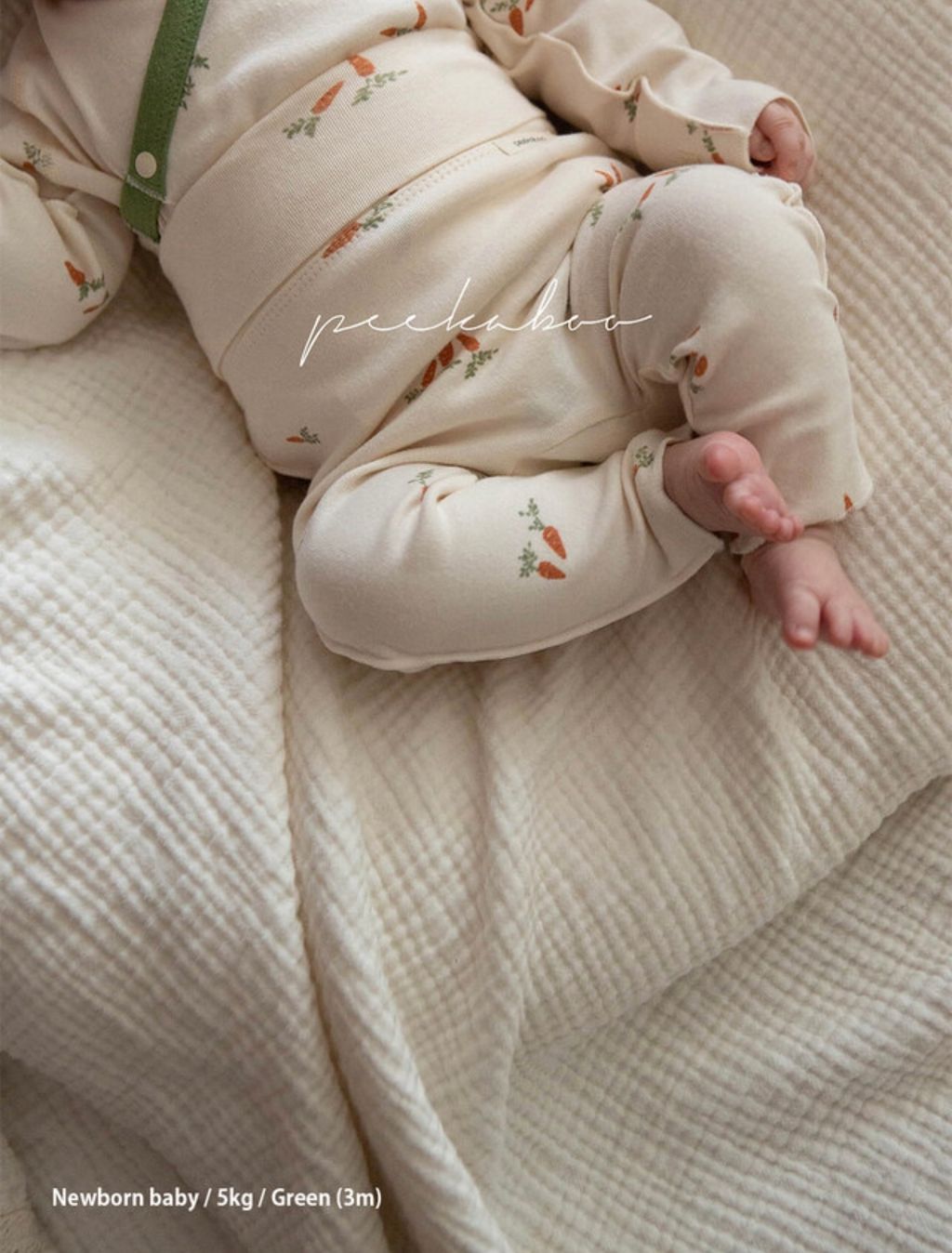 IMG_0991-1728379598949