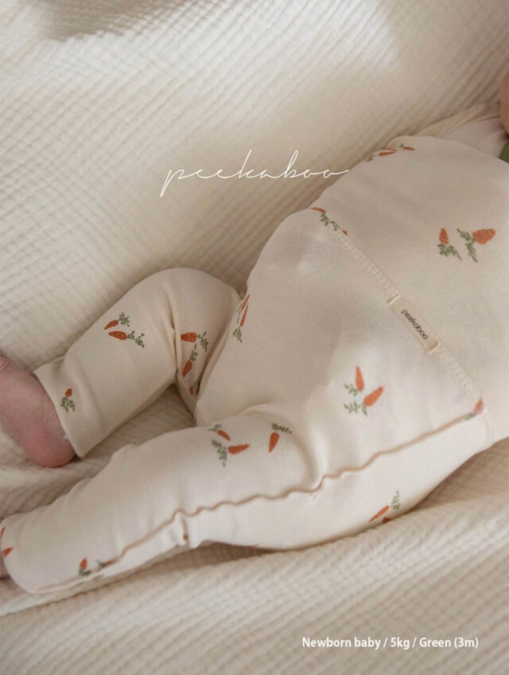 IMG_0992-1728379598957