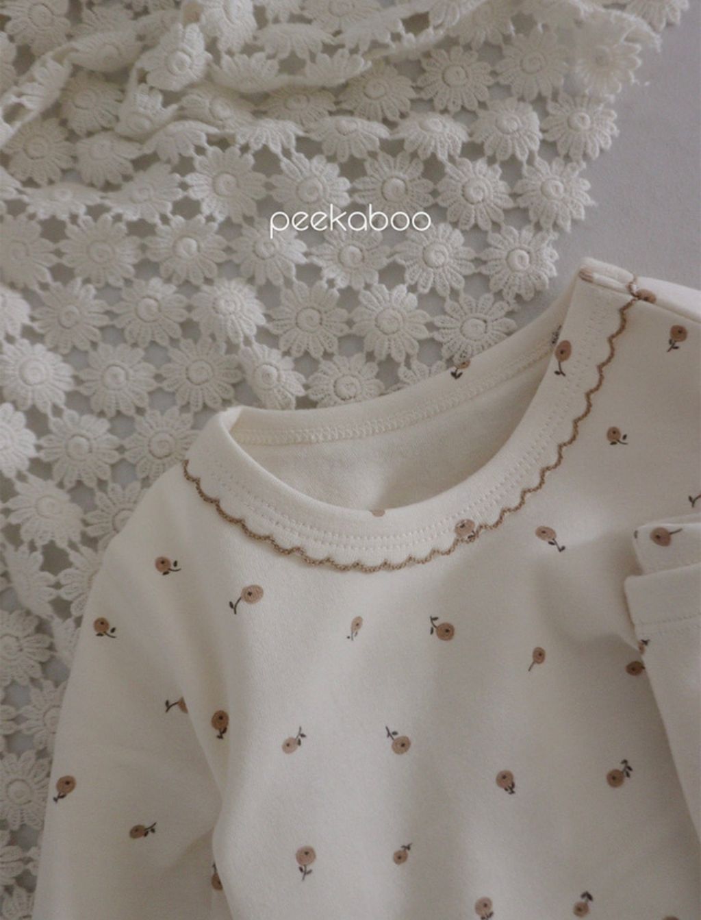 IMG_1365-1728456872260