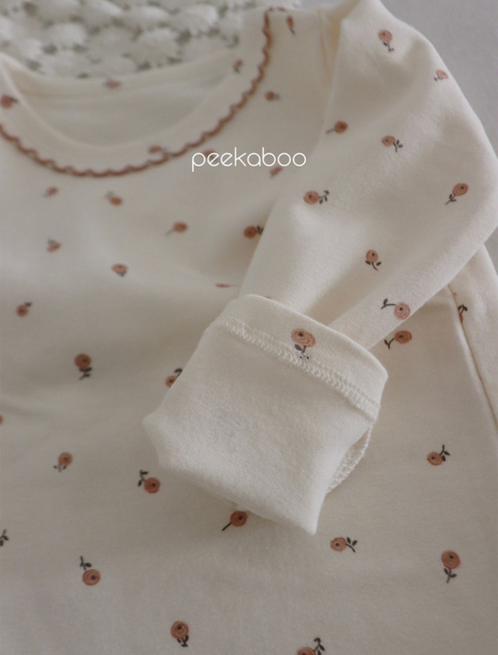 IMG_1372-1728456872344