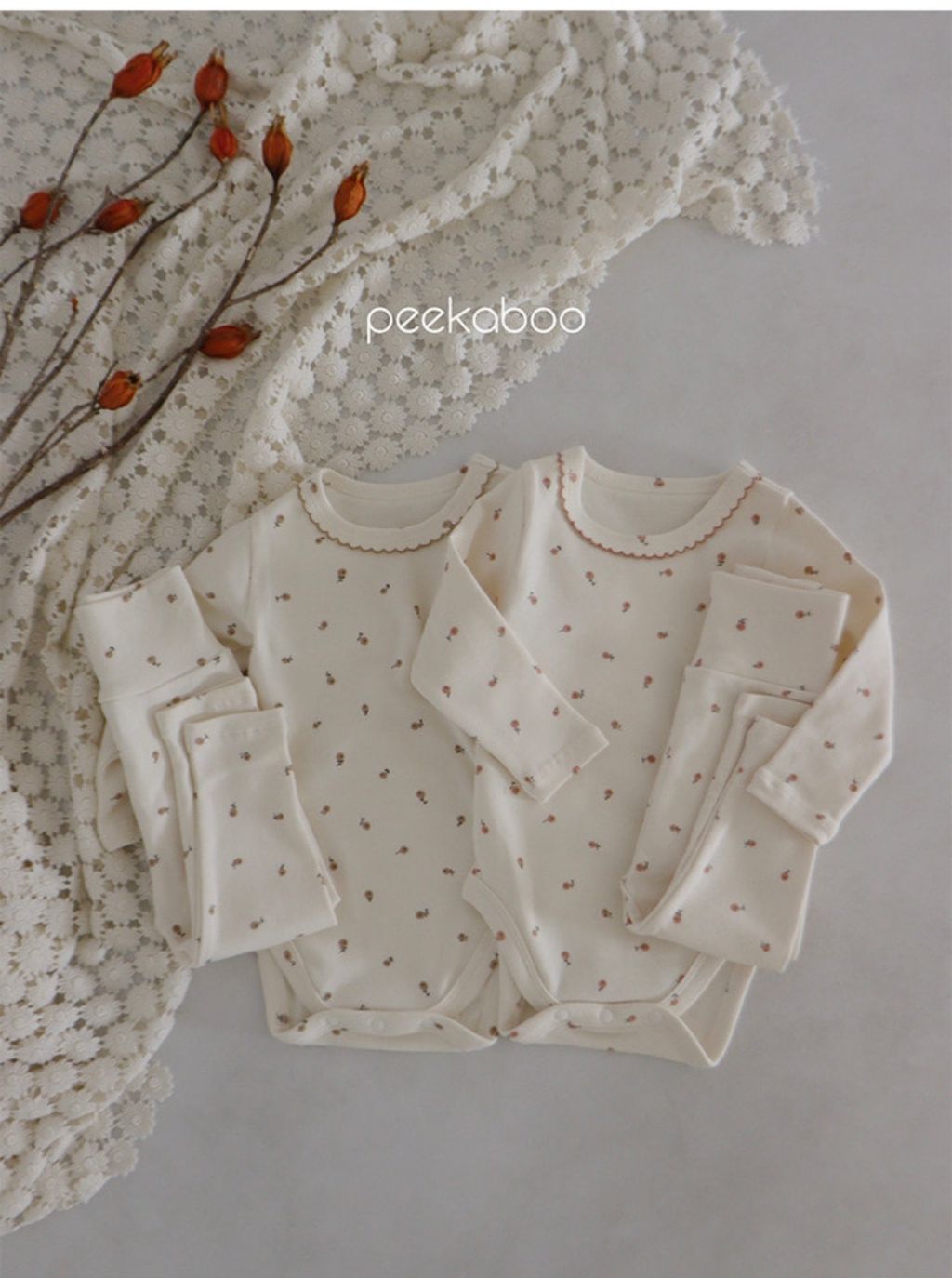 IMG_1382-1728457804914