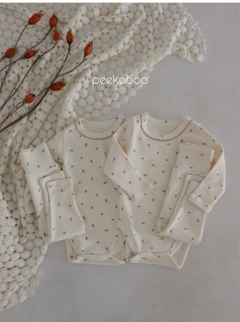 IMG_1382-1728457804914