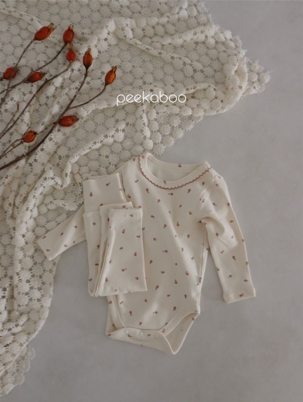 IMG_1384-1728457804933