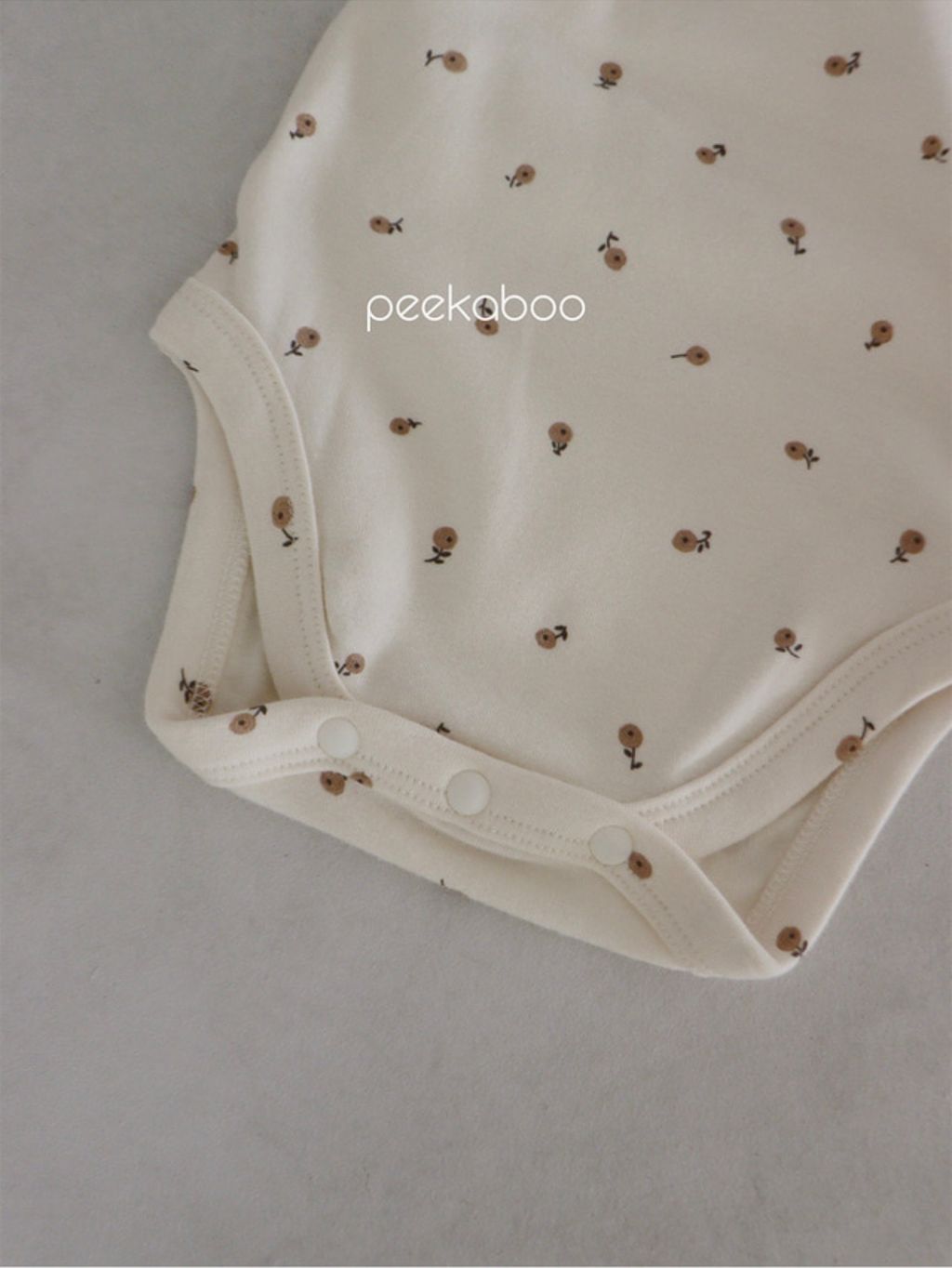 IMG_1388-1728457804945