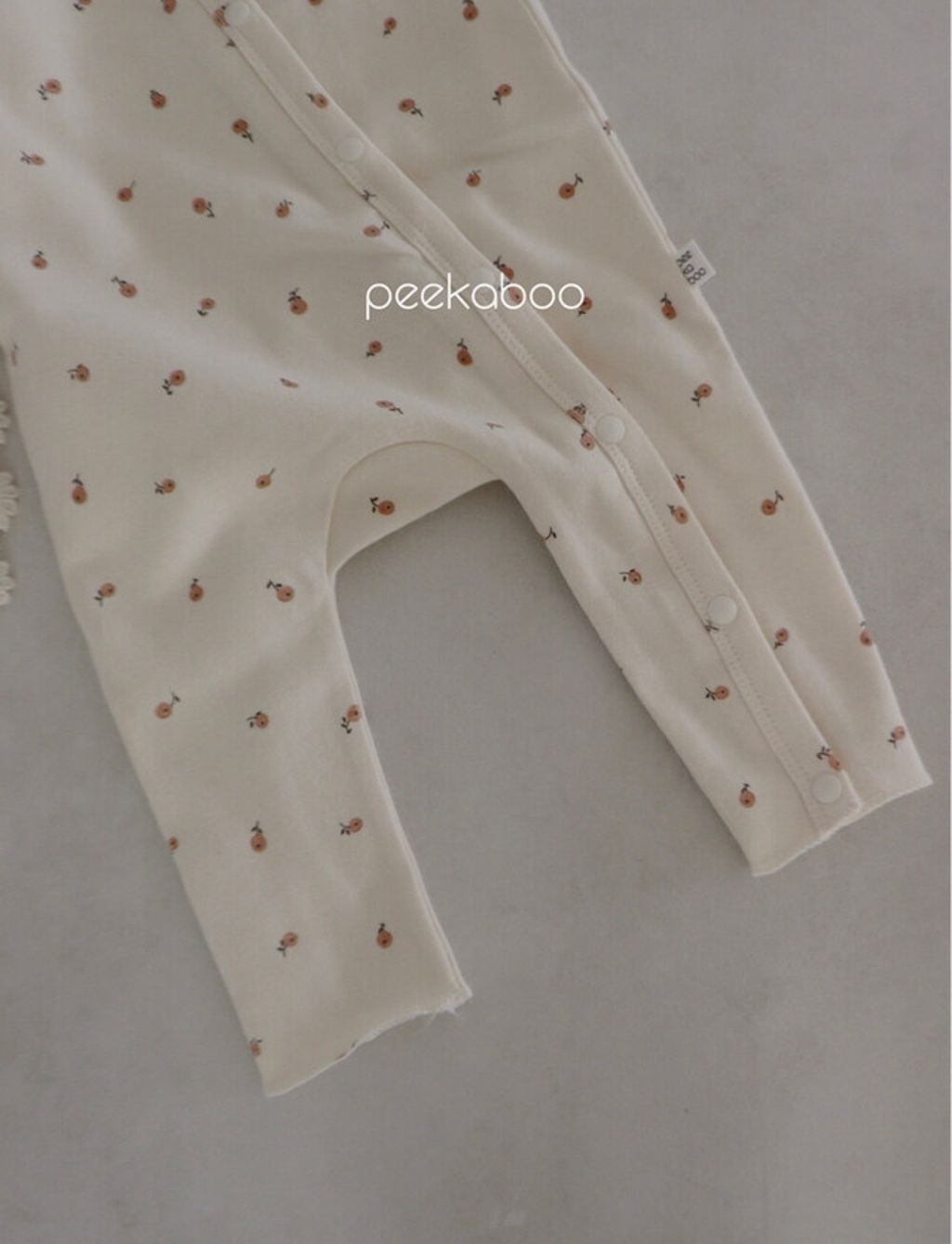 IMG_1410-1728458172248