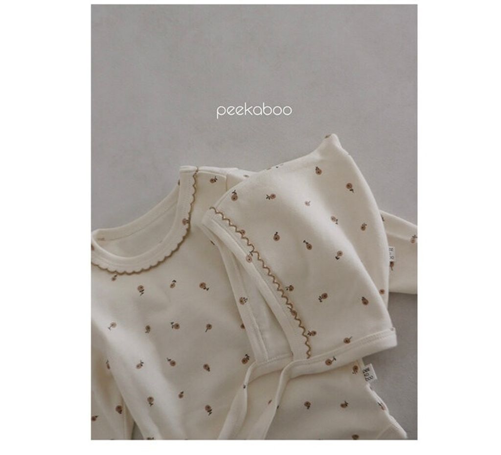 IMG_1376-1728458419372