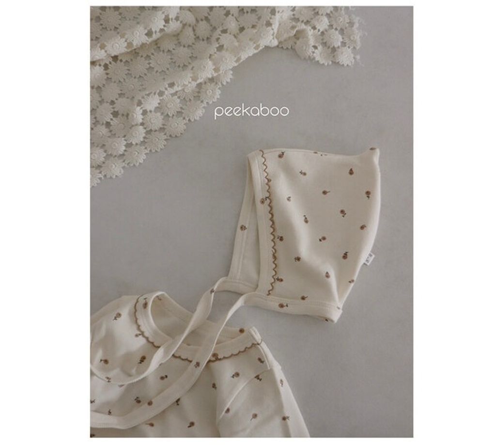 IMG_1377-1728458419410