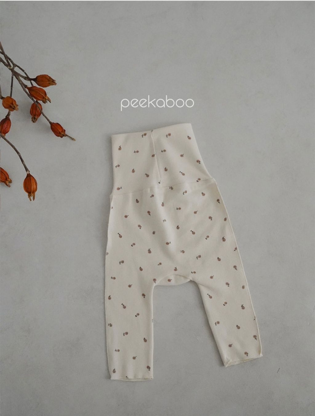 IMG_1438-1728458715519