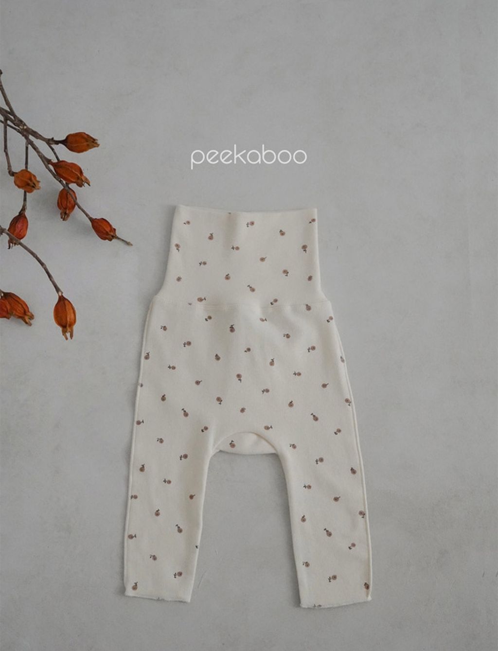 IMG_1435-1728458715528