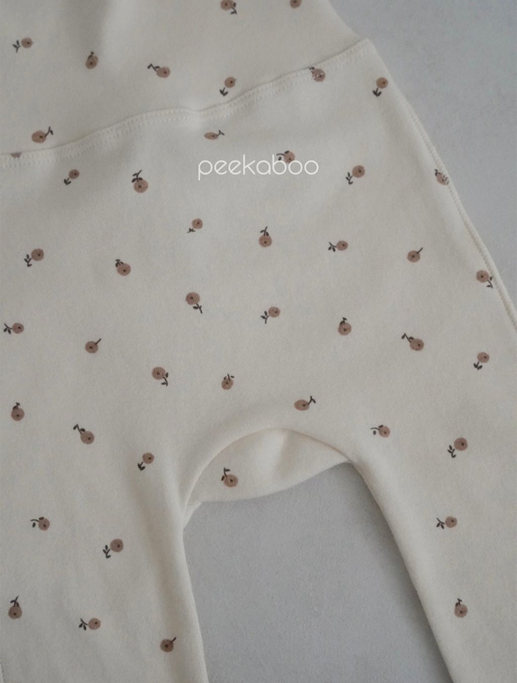 IMG_1442-1728458715558