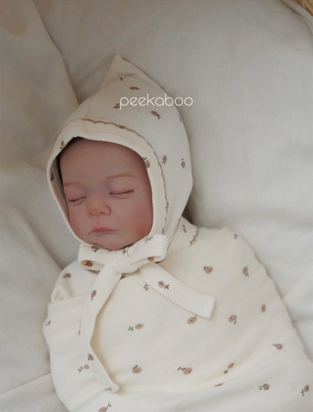 IMG_1445-1728458715565