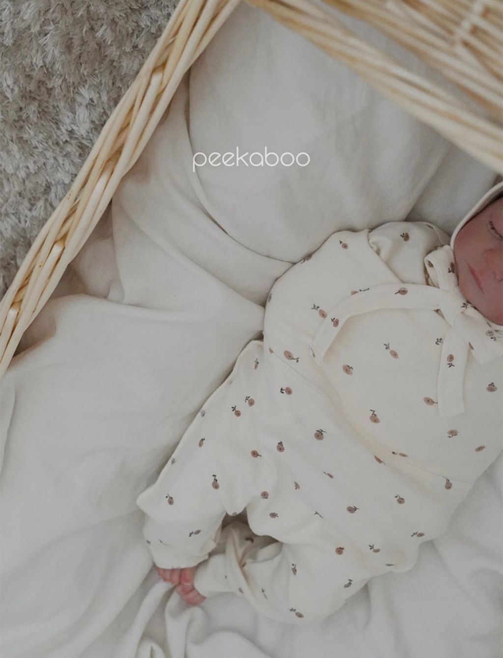 IMG_1447-1728458715596