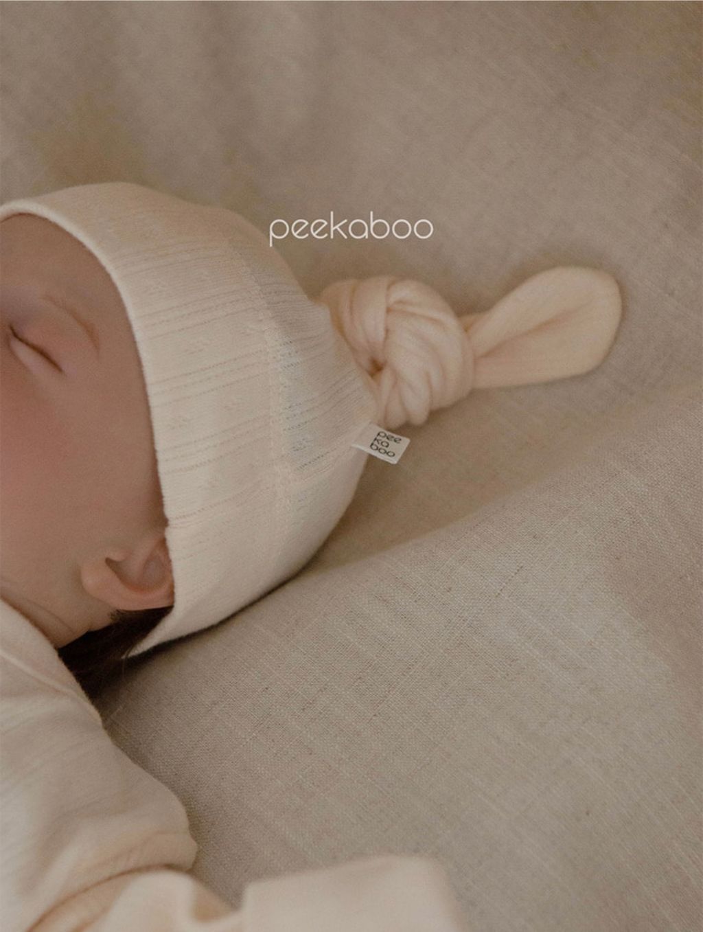 IMG_2482-1728609847429