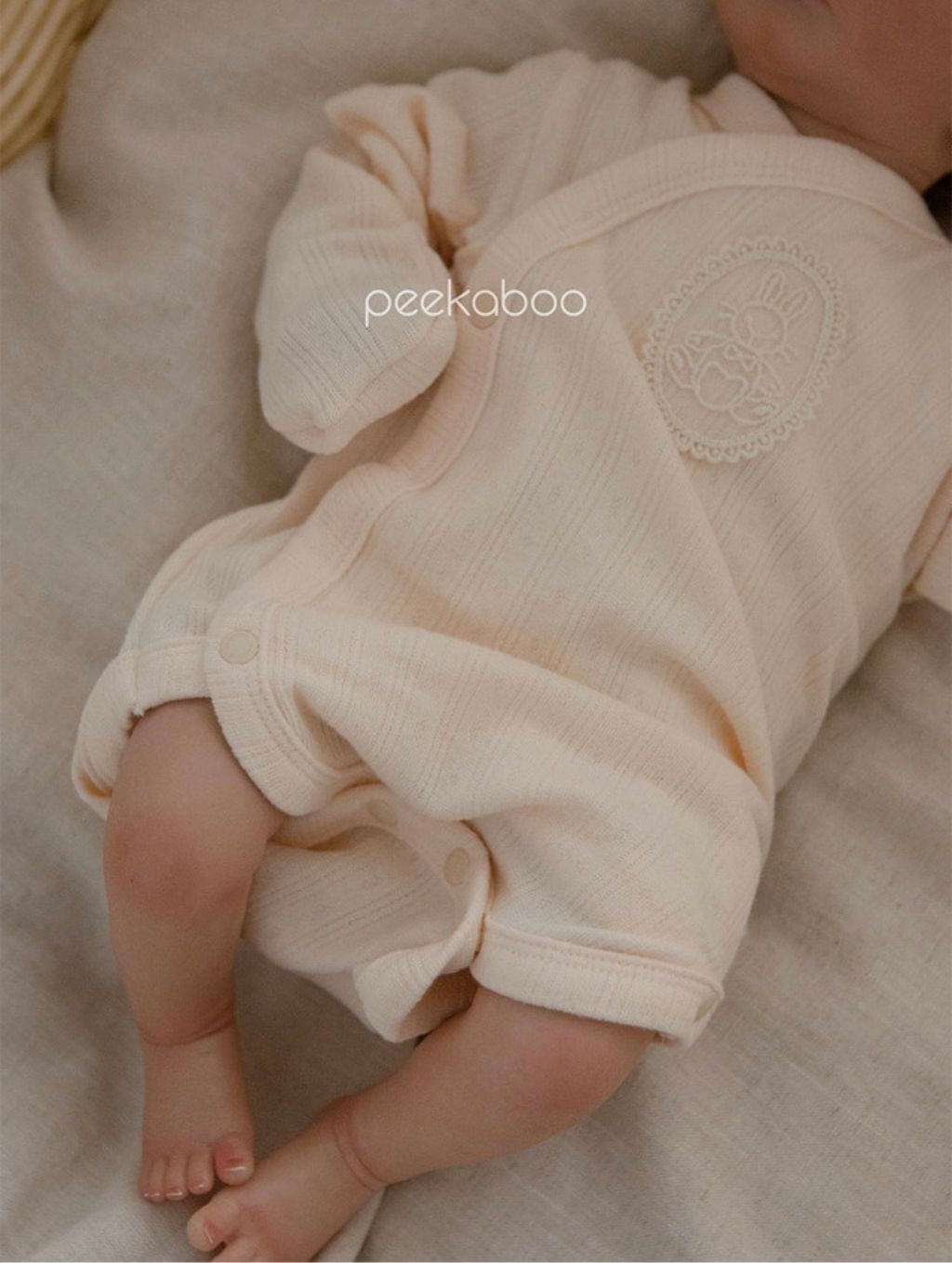 IMG_2484-1728609847446